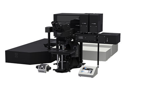 FV4000MPE 多光子激光扫描显微镜